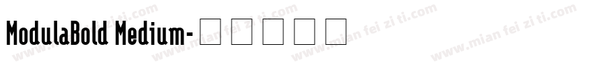 ModulaBold Medium字体转换